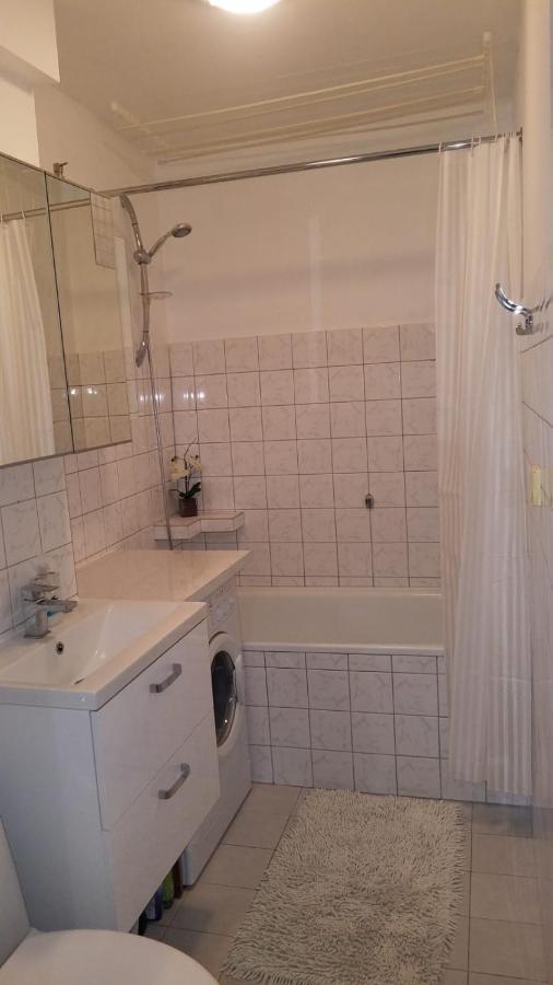 Apartment Fiolet