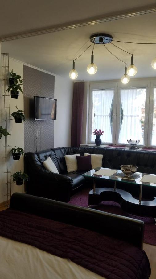 Fiolet Zamosc (Lublin)